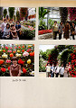 t9702 (6)_thumb.jpg